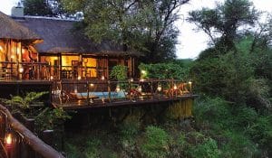 madikwe-river-lodge-charme-nature-safari