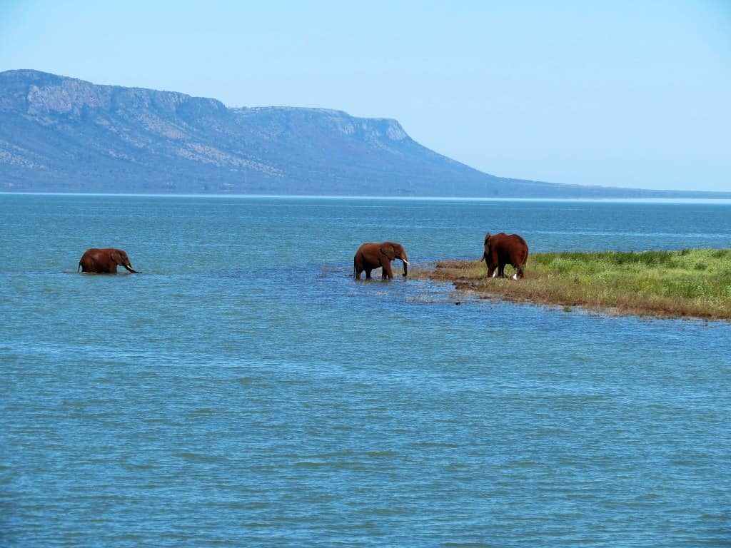 endroits-naturels-elephant-coast-afrique-du-sud-decouverte