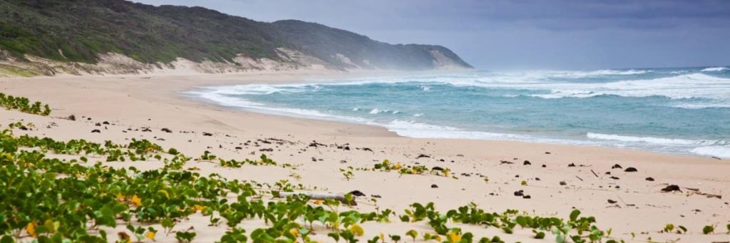 endroits-naturels-cape-vidal-plage-afrique-du-sud-decouverte