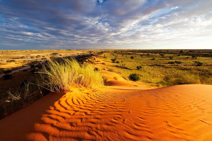 endroits-naturels-kgalagadi-desert-afrique-du-sud-decouverte